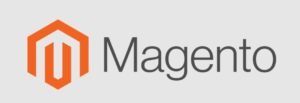 Magento seo experts