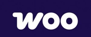woo commerce seo experts