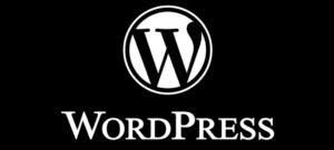 WordPress SEO experts